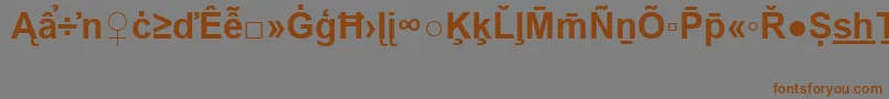 フォントArialSpecialG2Bold – 茶色の文字が灰色の背景にあります。