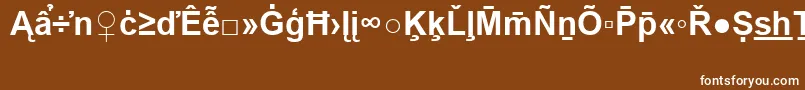 フォントArialSpecialG2Bold – 茶色の背景に白い文字