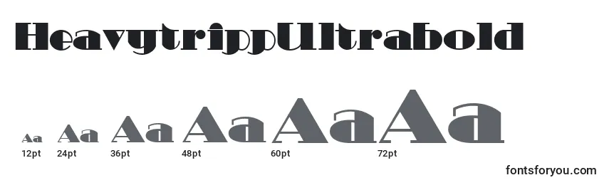 HeavytrippUltrabold Font Sizes