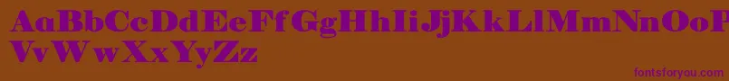 Manuelldemo Font – Purple Fonts on Brown Background
