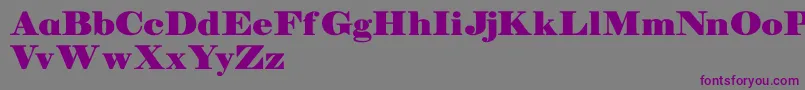 Manuelldemo-Schriftart – Violette Schriften auf grauem Hintergrund