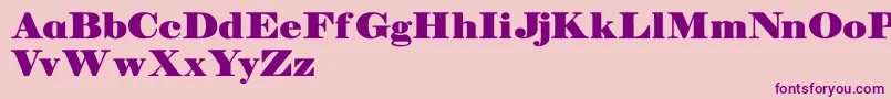 Manuelldemo Font – Purple Fonts on Pink Background
