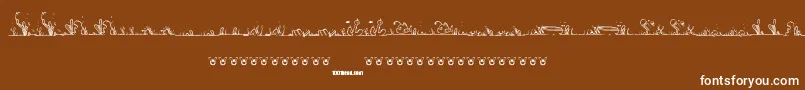 LalineaSea-fontti – valkoiset fontit ruskealla taustalla