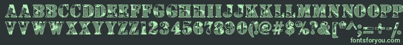 Camouflaged Font – Green Fonts on Black Background