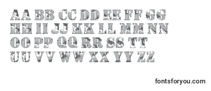 Camouflaged Font