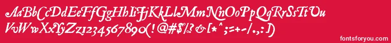 フォントRomanantique ffy – 赤い背景に白い文字