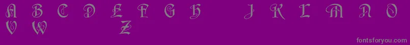 HorstcapsCaps-Schriftart – Graue Schriften auf violettem Hintergrund