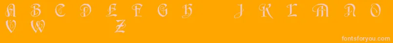 HorstcapsCaps-Schriftart – Rosa Schriften auf orangefarbenem Hintergrund