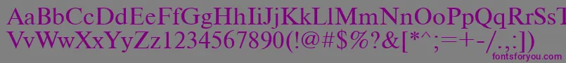 Шрифт Newtonc – фиолетовые шрифты на сером фоне