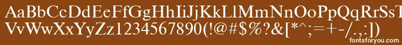 フォントNewtonc – 茶色の背景に白い文字