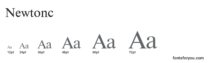 Размеры шрифта Newtonc