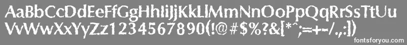 ColumbiarandomBold Font – White Fonts on Gray Background