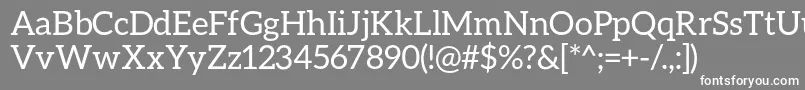 フォントAleoRegular – 灰色の背景に白い文字