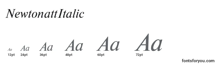 NewtonattItalic Font Sizes