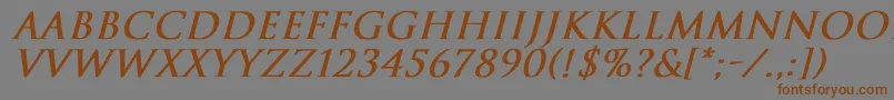 TrajanNormalBoldItalic-Schriftart – Braune Schriften auf grauem Hintergrund