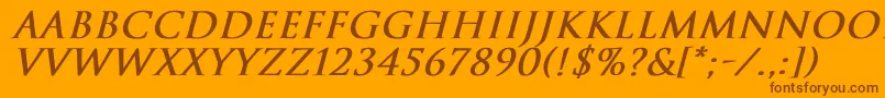 TrajanNormalBoldItalic Font – Brown Fonts on Orange Background