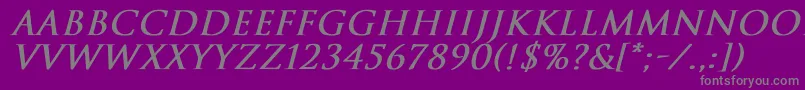 TrajanNormalBoldItalic Font – Gray Fonts on Purple Background