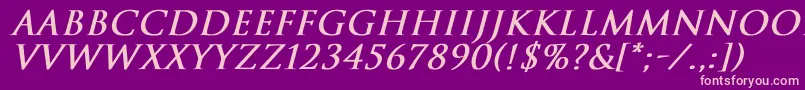 TrajanNormalBoldItalic Font – Pink Fonts on Purple Background