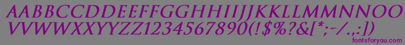 フォントTrajanNormalBoldItalic – 紫色のフォント、灰色の背景