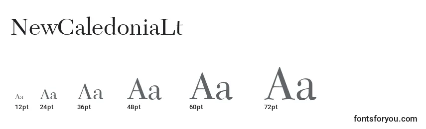 Размеры шрифта NewCaledoniaLt