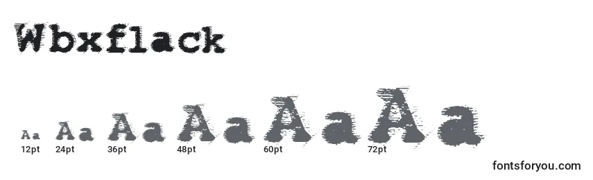 Размеры шрифта Wbxflack