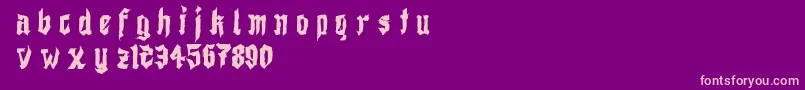 DemoShodogothic Font – Pink Fonts on Purple Background