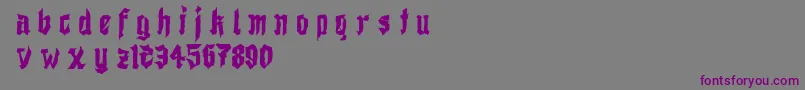 DemoShodogothic Font – Purple Fonts on Gray Background