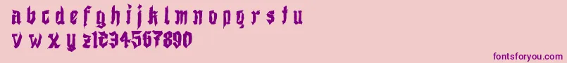 DemoShodogothic Font – Purple Fonts on Pink Background
