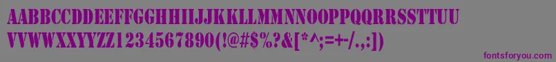 ArmyCondensed Font – Purple Fonts on Gray Background