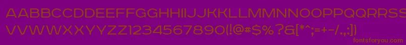 RoadradioLight Font – Brown Fonts on Purple Background