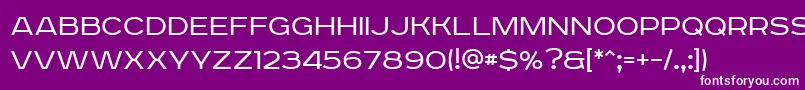 RoadradioLight Font – White Fonts on Purple Background