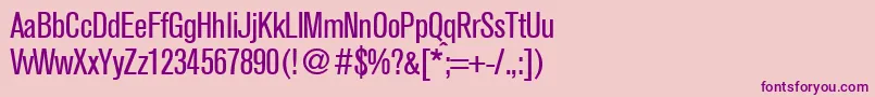 Шрифт AkzentcondRegularDb – фиолетовые шрифты на розовом фоне