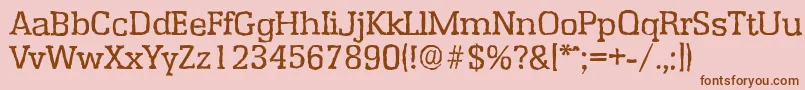 EnschedeantiqueRegular Font – Brown Fonts on Pink Background