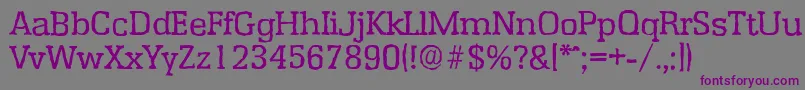 EnschedeantiqueRegular Font – Purple Fonts on Gray Background