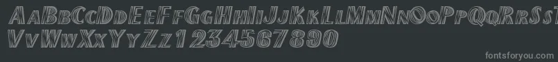 Texmexdisplayscapsssk Font – Gray Fonts on Black Background