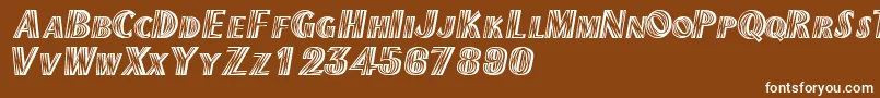 Texmexdisplayscapsssk Font – White Fonts on Brown Background