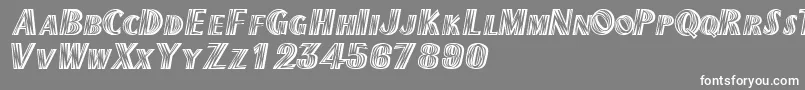 Texmexdisplayscapsssk Font – White Fonts on Gray Background