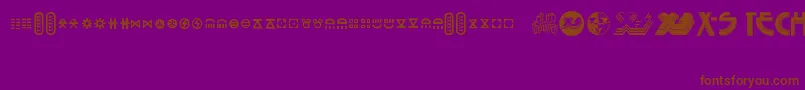 SeizedXS Font – Brown Fonts on Purple Background