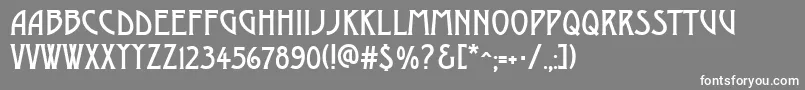 AModerno Font – White Fonts on Gray Background