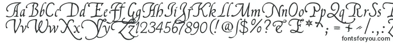 フォントFlllana1 – 装飾文字のフォント