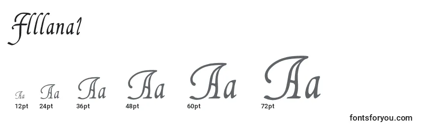 Flllana1 Font Sizes
