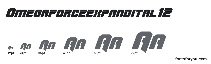 Omegaforceexpandital12 Font Sizes