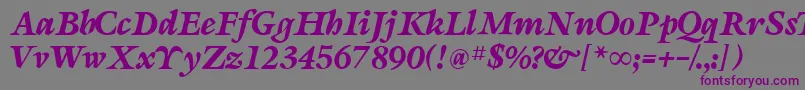 SevillaRegular Font – Purple Fonts on Gray Background