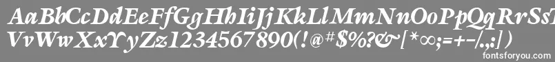 フォントSevillaRegular – 灰色の背景に白い文字