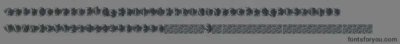 フォントZombiescratch – 黒い文字の灰色の背景
