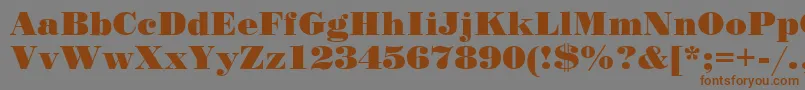 Stp Font – Brown Fonts on Gray Background