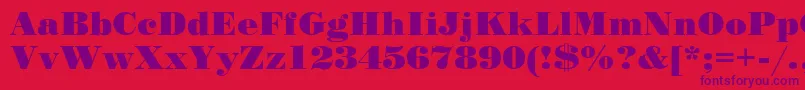 Stp Font – Purple Fonts on Red Background