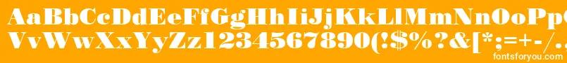 Stp Font – White Fonts on Orange Background