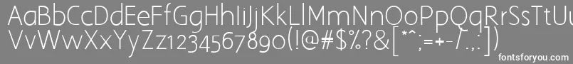 Aaargh Font – White Fonts on Gray Background