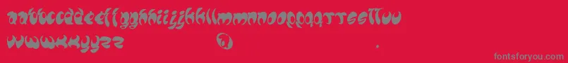 Шрифт Lomax – серые шрифты на красном фоне